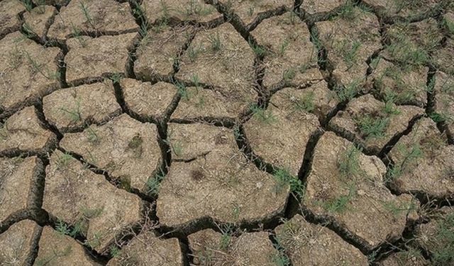 Türkiye kuraklığın pençesinde
