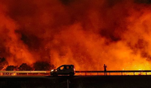 Orman yangınlarında son durum