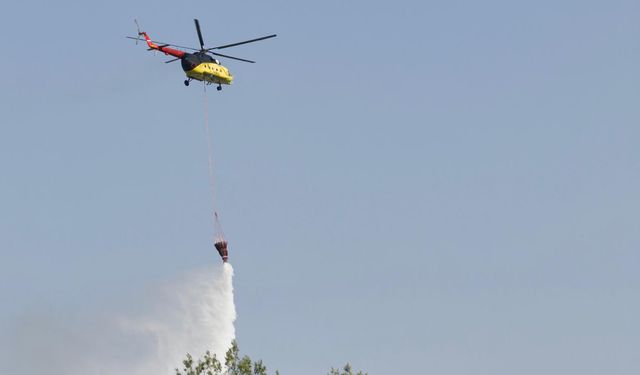 OGM duyurdu: Hafta sonu çıkan 85 yangının çoğu ihmal ve dikkatsizlikten