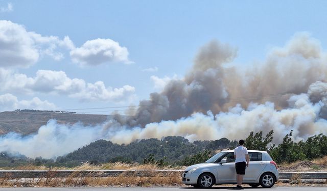 Çanakkale'de orman yangını