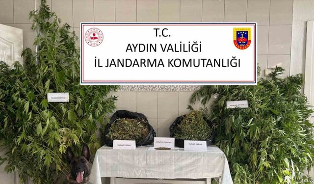 Bozdoğan’da uyuşturucu operasyonu