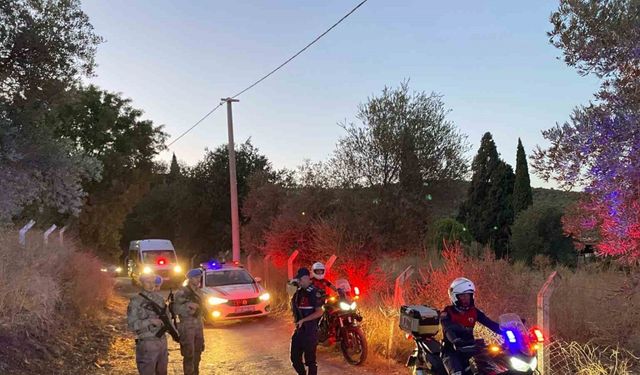 Jandarma, incir hırsızlarına geçit vermiyor