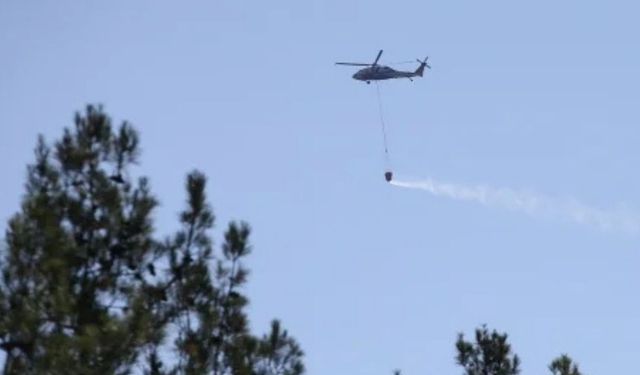 Sinop’ta orman yangını sürüyor