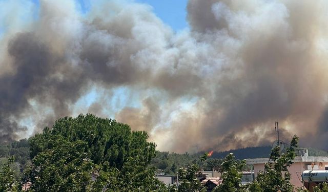 Çanakkale’de yeni yangın