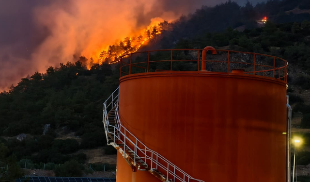 Buharkent’te orman yangını büyüyor