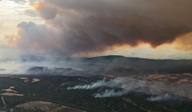 Gelibolu’daki orman yangını 2. gününde