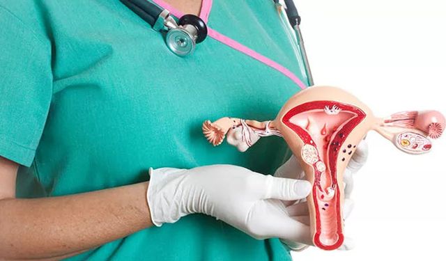 Kadınların çoğu fark etmiyor: Endometrium, en yaygın jinekolojik kanserlerinden biri