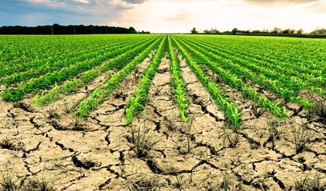 İşlenmeyen araziler kiralama modeliyle kırsal ekonomiye can verecek