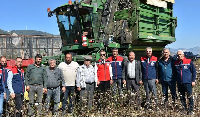 Türkiye’nin Pamuk Deposunda Hasat Devam Ediyor: Söke Ovası Üretimde Liderliğini Koruyor