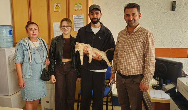 Çip Sayesinde Kayıp Kedi Kısa Sürede Sahibine Kavuştu