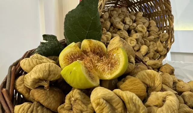 Aydın İncirinin "Gizli" Rekoltesi, Piyasayı Manipülasyondan Koruma Kalkanı Oldu