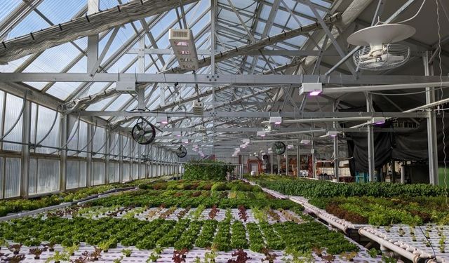 Aydın’ın Dağ Köyünde Sıra Dışı Yatırım Hamlesi — Kırsal Bölgeye “Akıllı Seracılık” Tesisi Kuruluyor