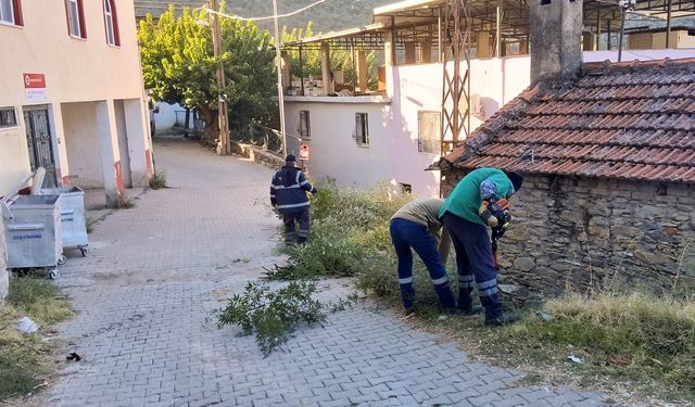 Efeler'in ekiplerinden ortak temizlik çalışması