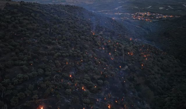 Bozdoğan yangını büyük ölçüde kontrol altına alındı