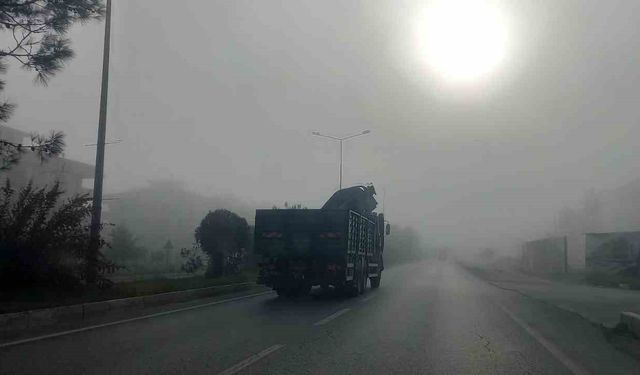 Aydın’da göz gözü görmedi