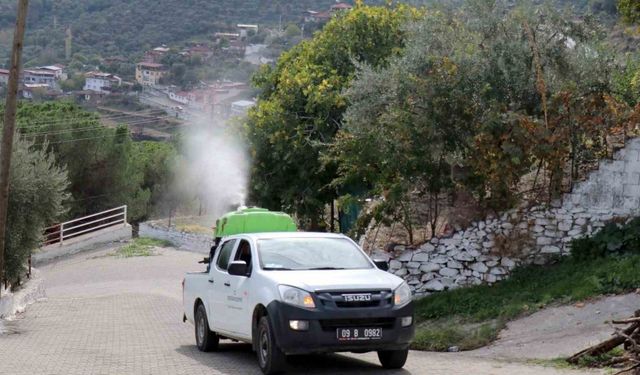 Bozdoğan’da karasinekle mücadele