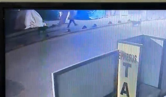 Kuşadası'nda sokak köpeğini vuran emekli astsubay serbest bırakıldı