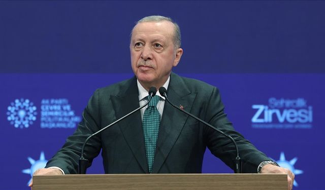 Cumhurbaşkanı Erdoğan'dan uçak kazasına ilişkin açıklama