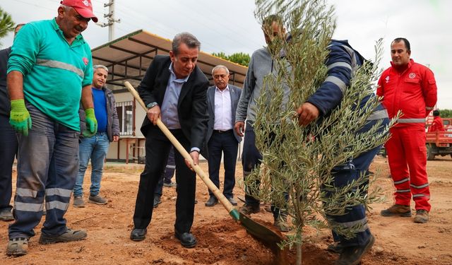 Başkan Yetişkin’den Efeler’e yeşil dokunuş