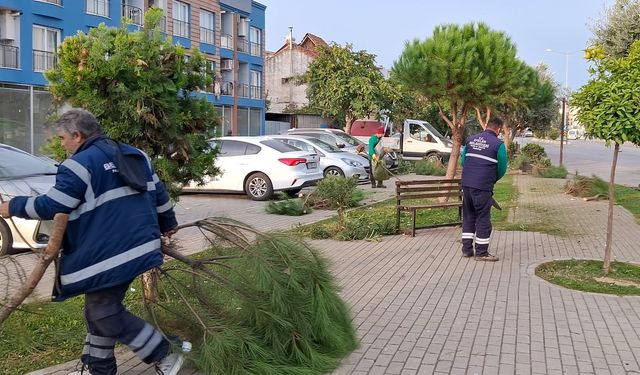 Efeler’de yeşil alanlarda bakım ve budama çalışmaları sürüyor