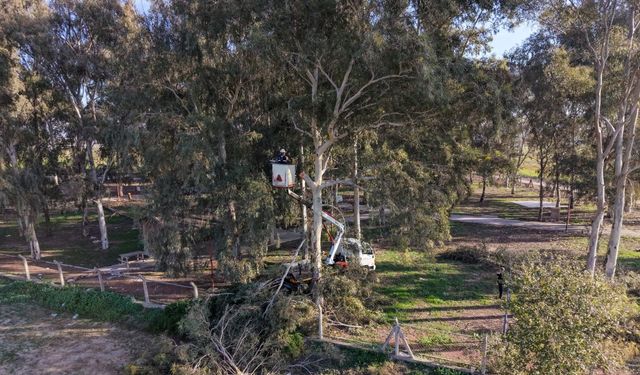 Efeler'in ekipleri Tepecik mesire alanında