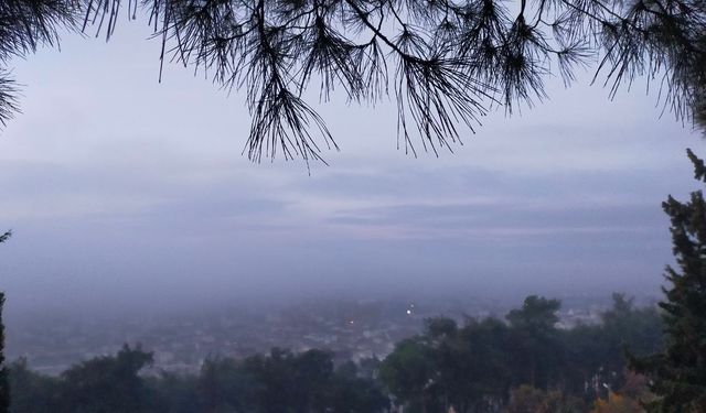 Aydın’da Puslu Sabah Manzaraları Kartpostallık Görüntüler Oluşturdu