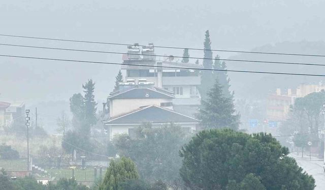 Bozdoğan sise teslim oldu