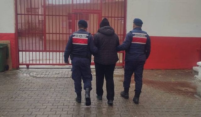 FETÖ üyesi Efeler'de operasyonla yakalandı