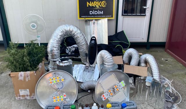 Didim'de kenevir yetiştirme kabini ele geçirildi