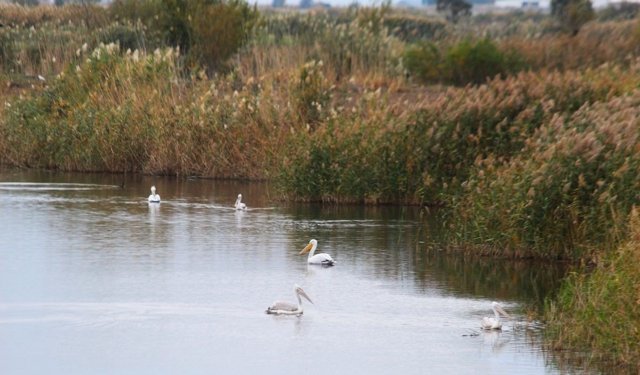 Söke Ovası antik dönemdeki deniz görünümüne döndü