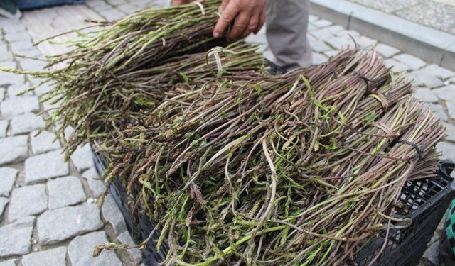 Aydın'ın yöresel lezzeti kedirgen ve sarmaşıklar pazar tezgahlarını süslemeye başladı