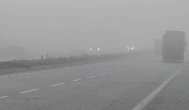 Aydın'da sis sürücülere zor anlar yaşatıyor