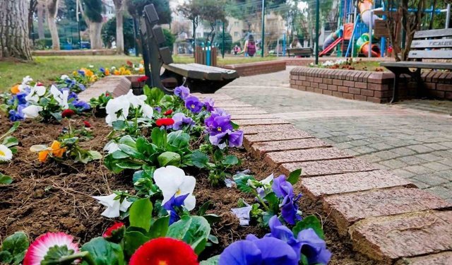 Efeler Belediyesi'nden çiçek düzenlemesi