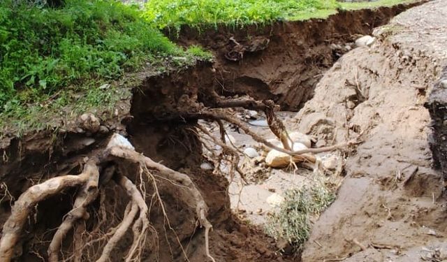 Efeler'de dere suları yön değiştirdi, zeytinlikte ikinci yatak oluştu