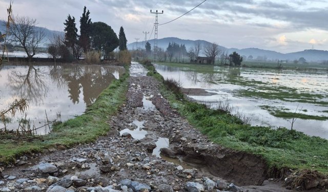 Söke'de aşırı yağışlar sonrası tarım alanlarında hasar tespiti