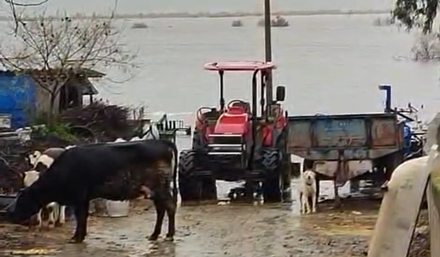 Söke’de mahallenin yarısı suya gömüldü