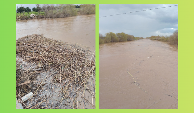 Suların getirdiği çöpler, köprü menfezlerini tıkadı