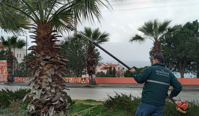 Kuşadası Belediyesi Daha Yeşil, Daha Temiz Bir Kent İçin Çalışıyor.