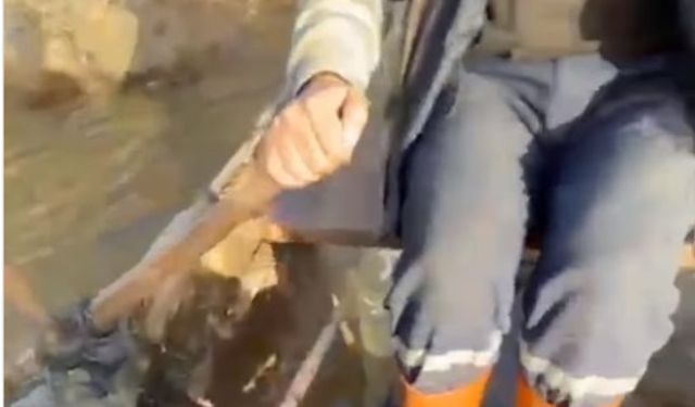 Mahallede ulaşım kayıkla sağlanıyor! Söke’de taşkın hayatı felç etti