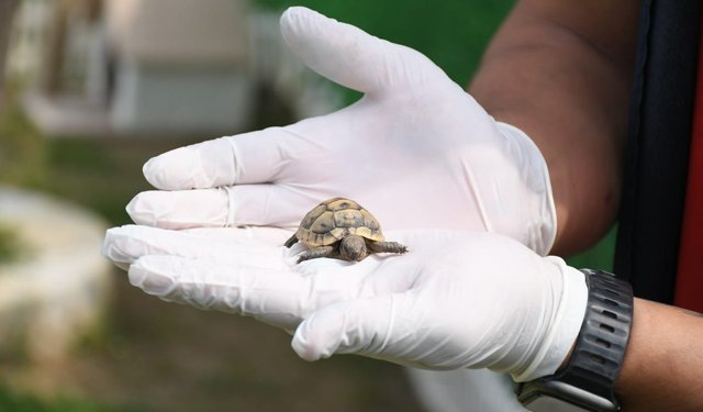 Kuşadası Evcil Hayvan Barınağı'nda Yeni Sakinler İçin Özel Yaşam Alanı