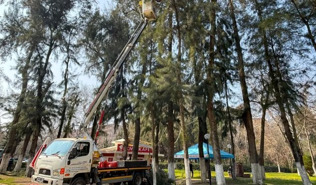 Efeler'de Pınarbaşı Mesire Alanı bakıma alındı