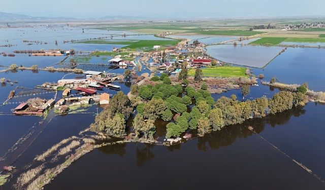 Kalcık Mahallesi, Venedik'e döndü