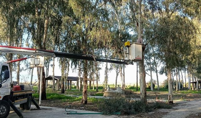 Tepecik Mesire Alanı yenileniyor