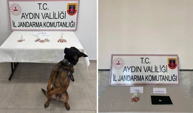 Aydın'da jandarmadan torbacı operasyonu