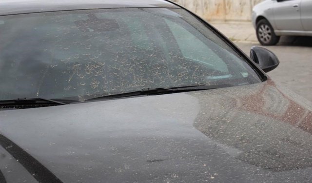 Aydın'da toz taşınımı bekleniyor