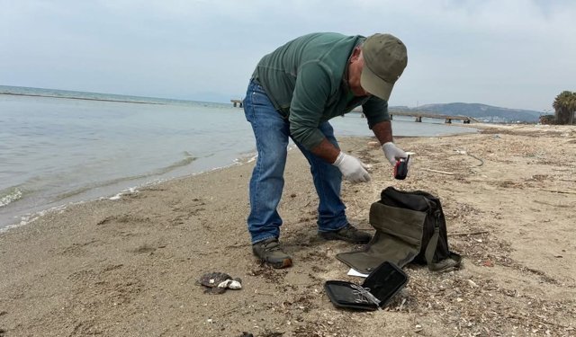 Kuşadası'nda iki deniz kaplumbağası ölü bulundu