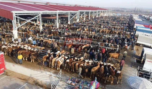 Kurbanlık fiyatları güncellendi