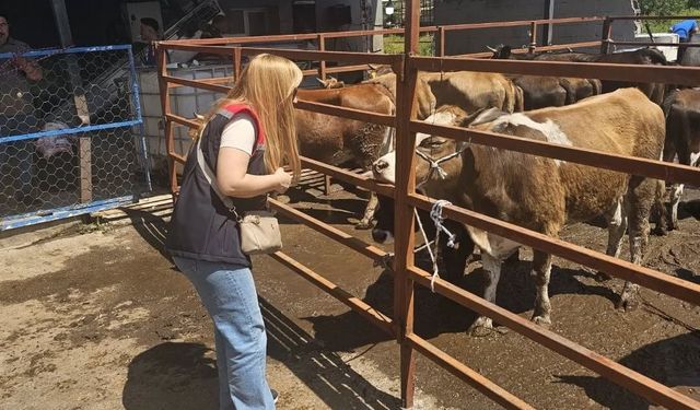 Aydın'da Kurban Bayramı denetimleri aralıksız sürüyor