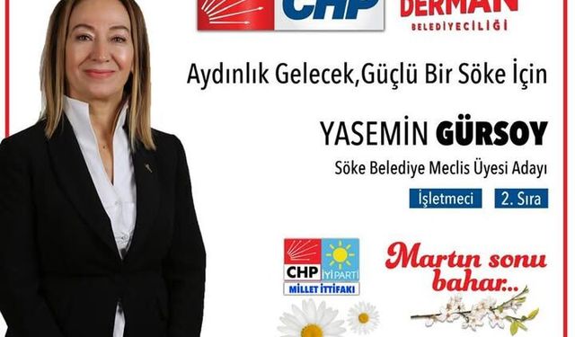 CHP'li Gürsoy meclis üyeliğinden istifa etti