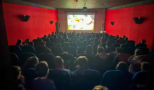 Aydın'da 252 bin kişi sinemaya gitti